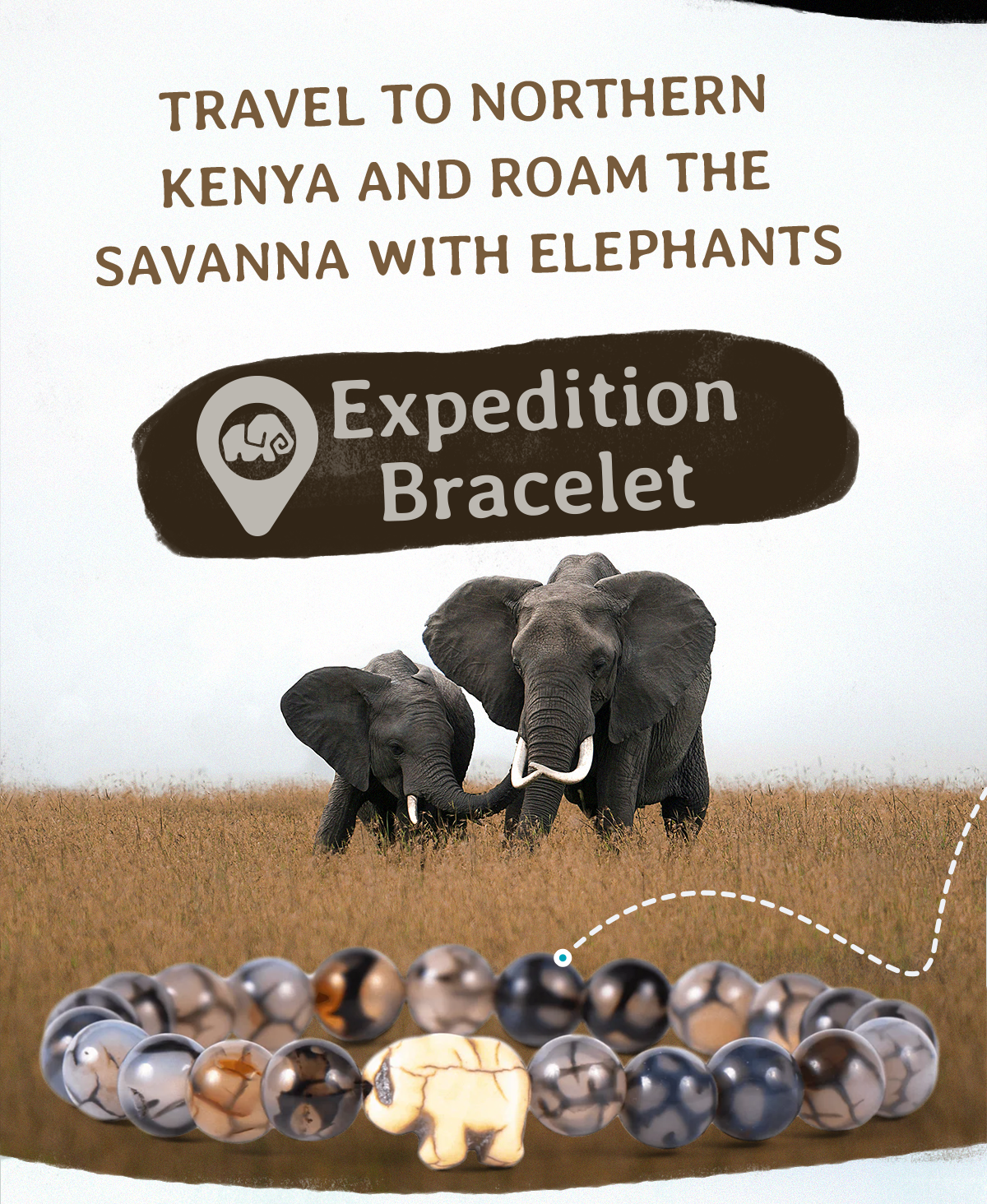 Track an elephant through Kenya!
