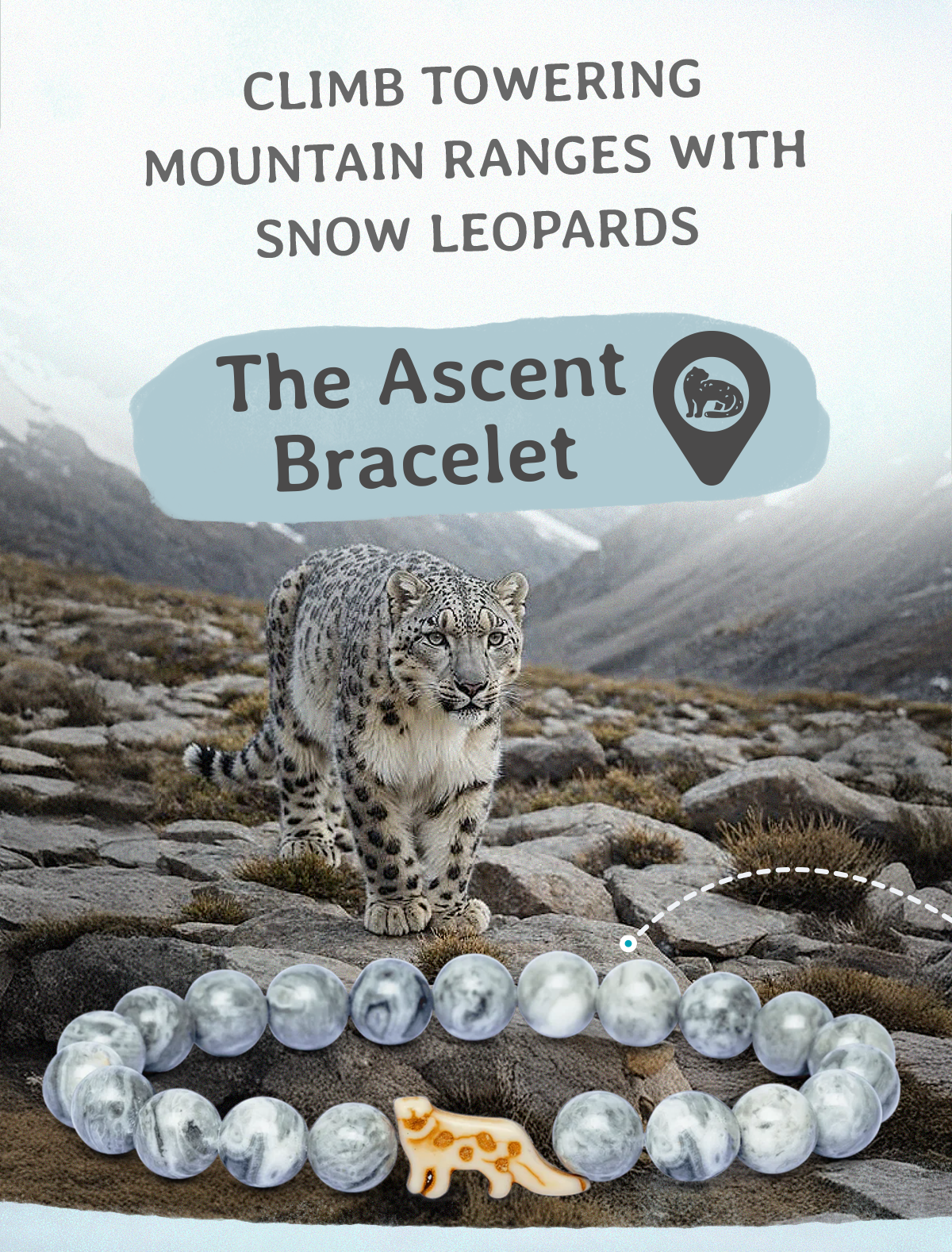 Climb mountains with snow leopards!