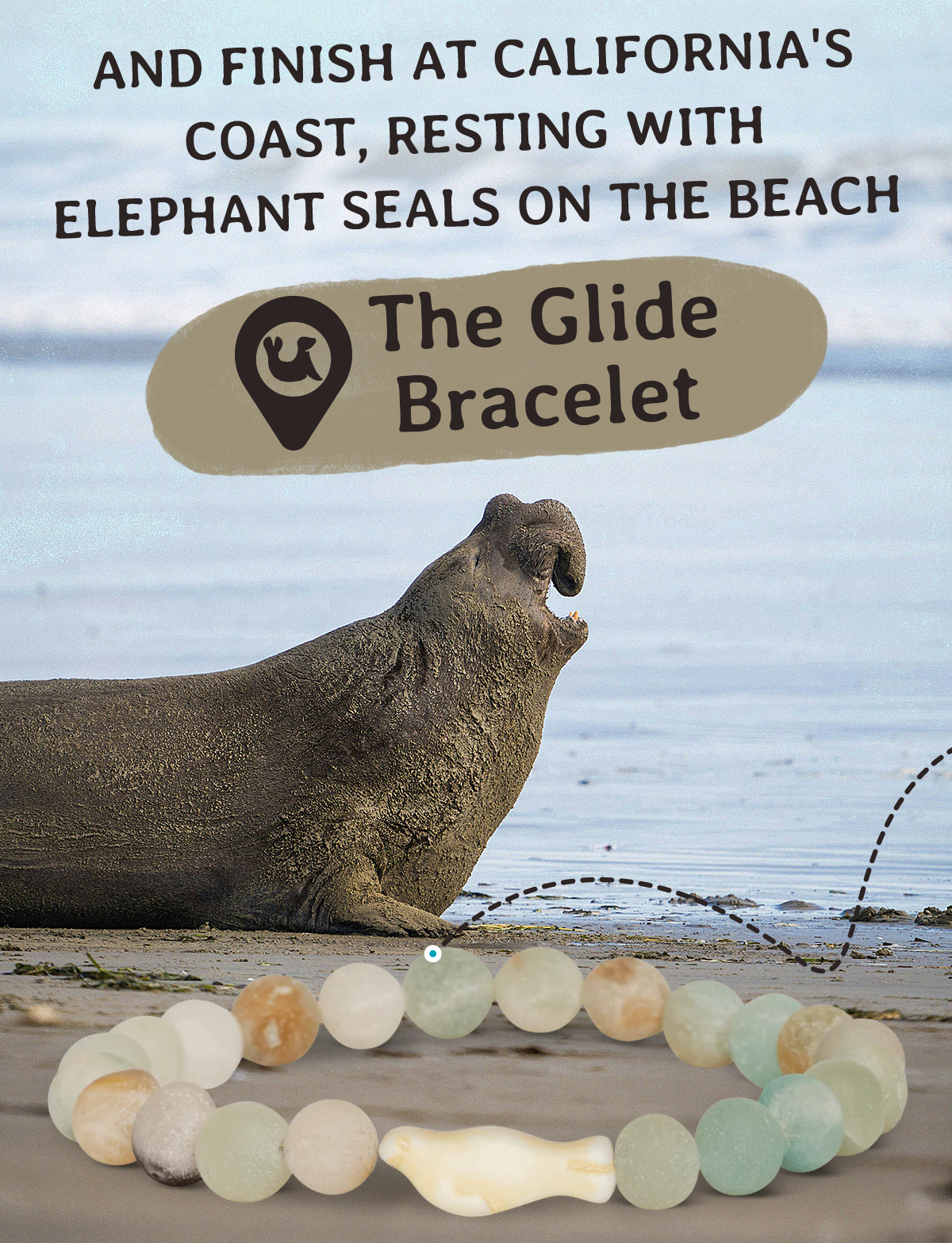 And finish in California with seals!