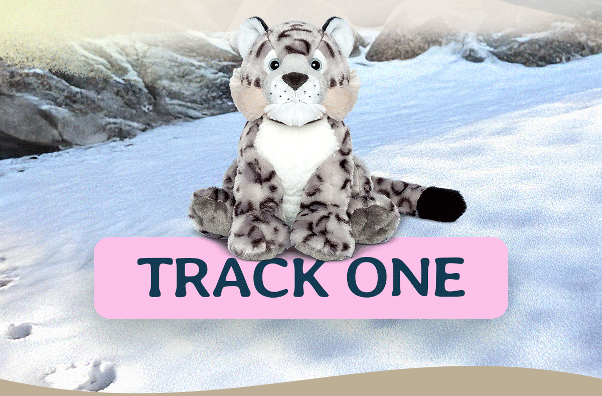Track one today!