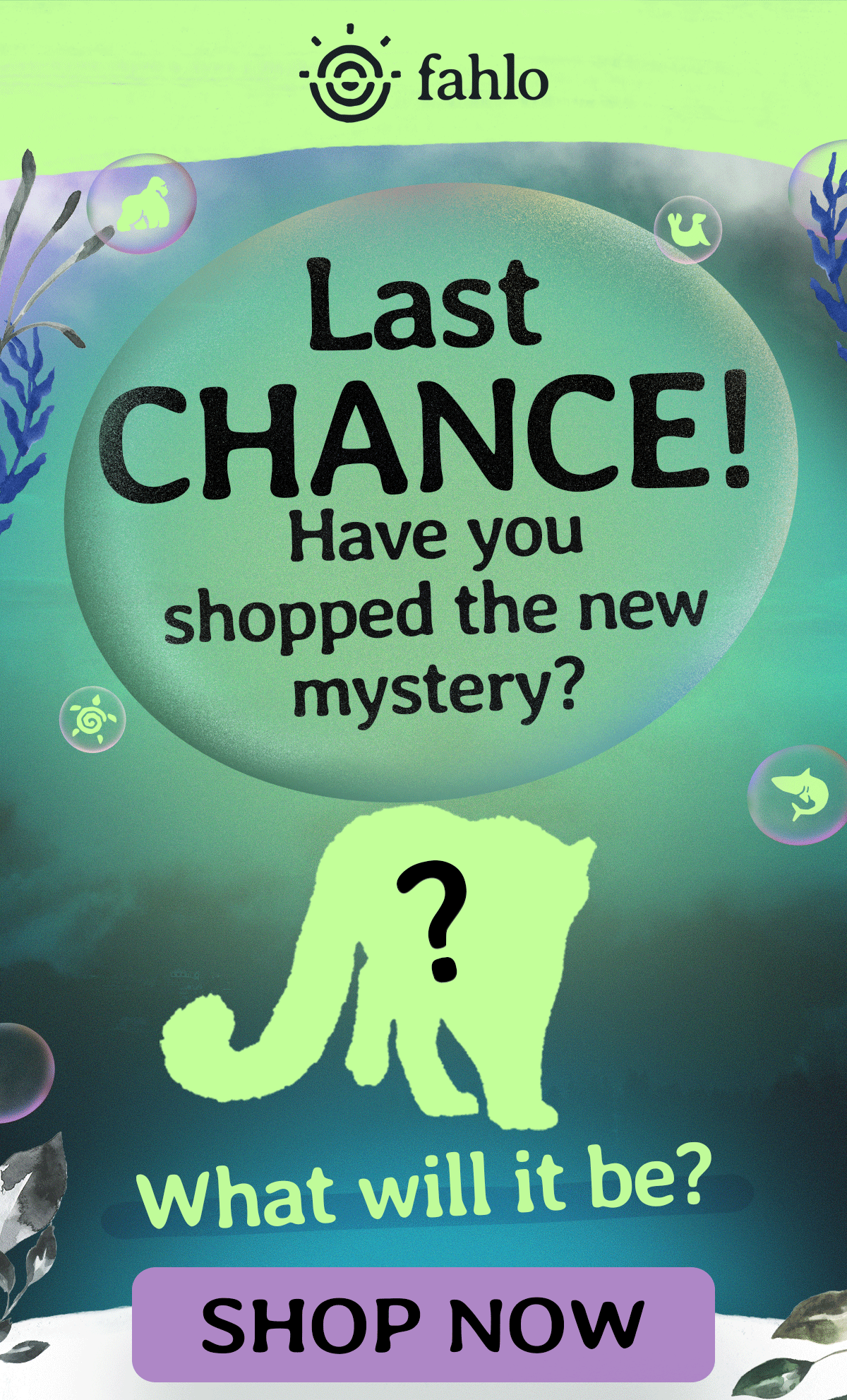 A dash of mystery, a splash of adventure!
