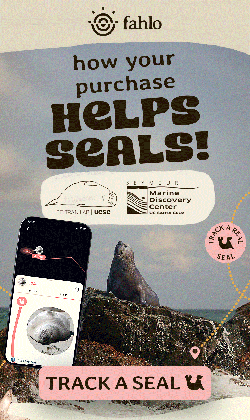 How your purchase helps seals!