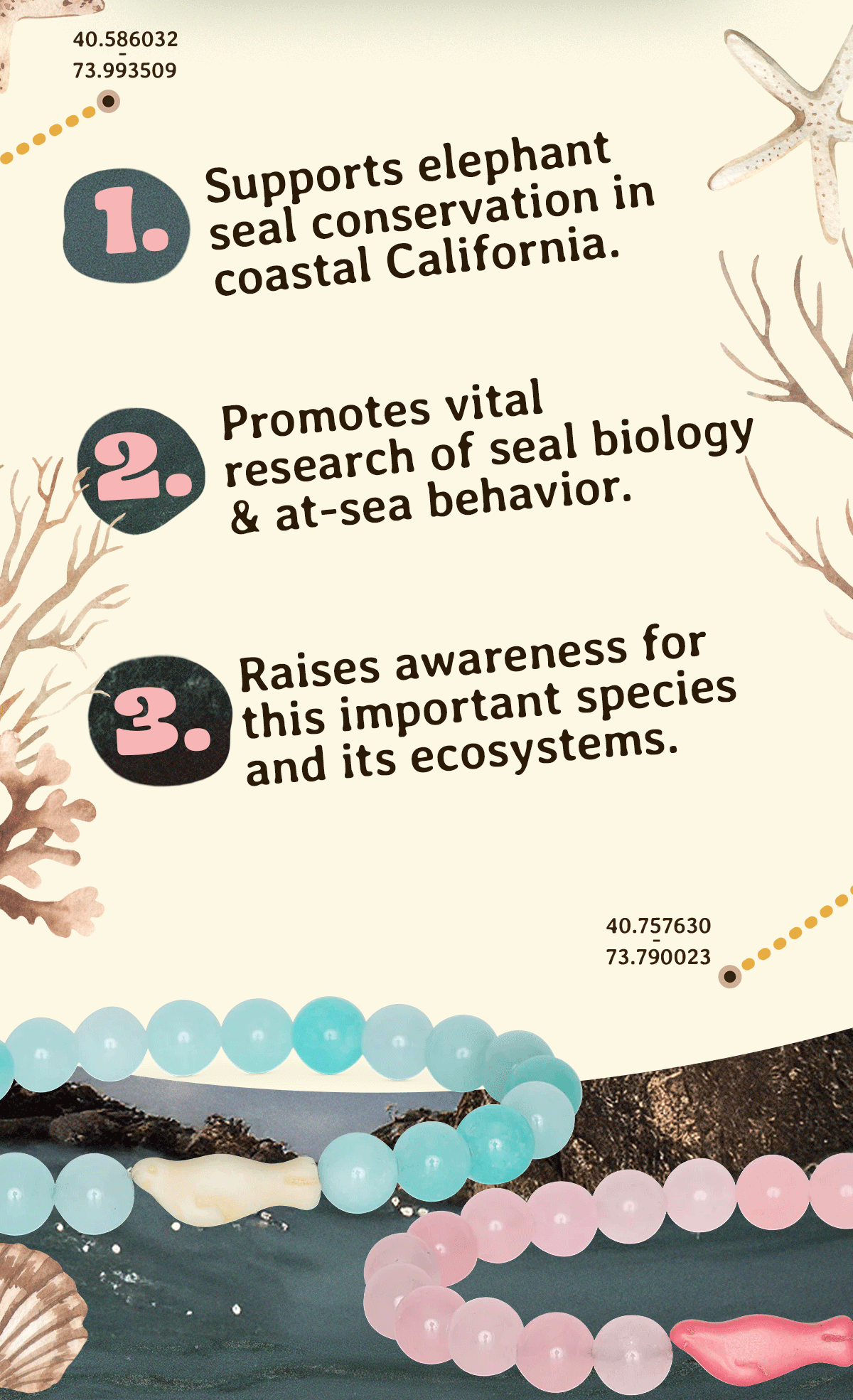 Support elephant seal conservation in California
