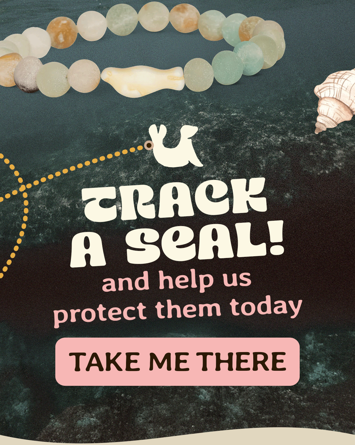 Track a seal in the ocean!