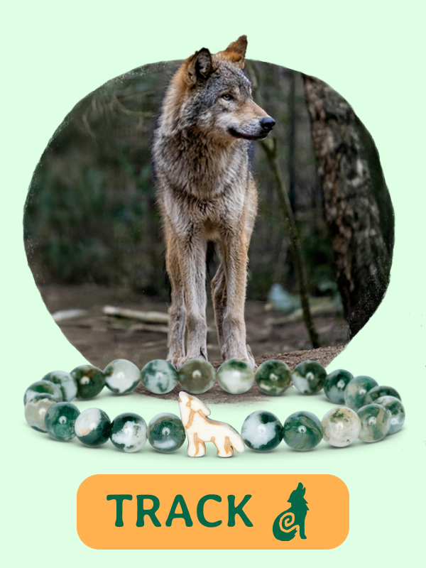 Scout Bracelet