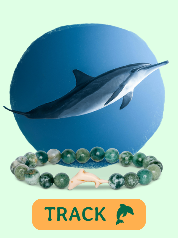 Journey Bracelet