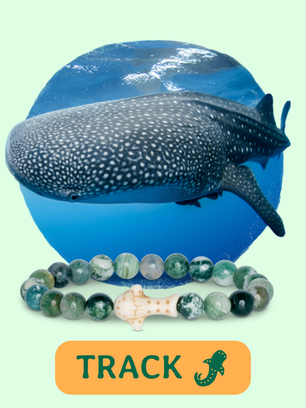 Quest Bracelet
