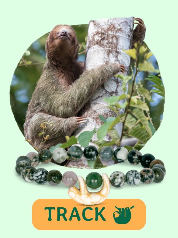 Wander Bracelet