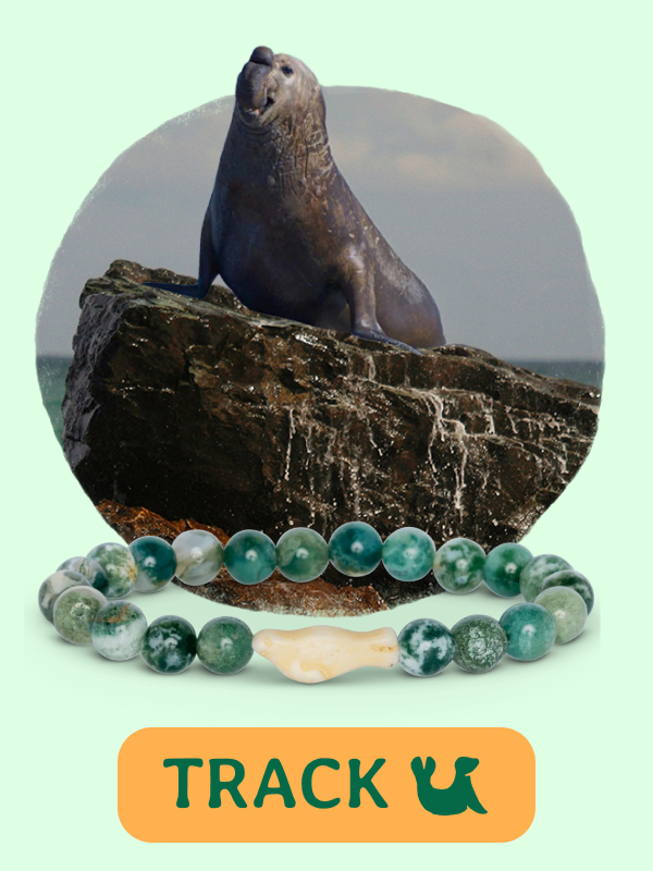 Glide Bracelet