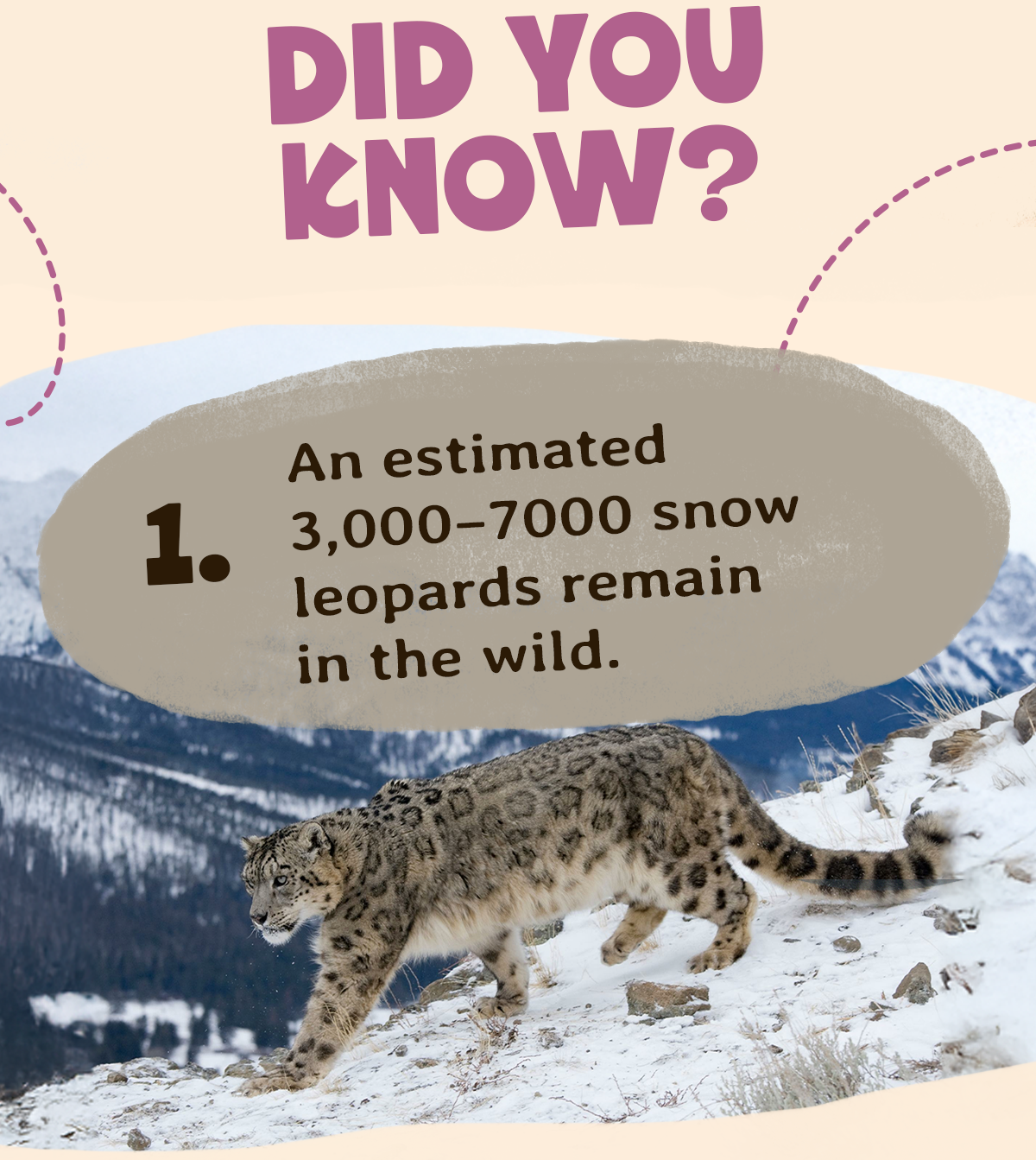 Did you know these facts?