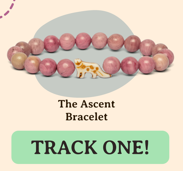 Ascent Bracelet