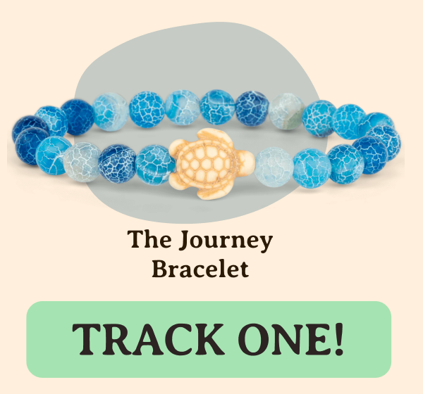 Journey Bracelet