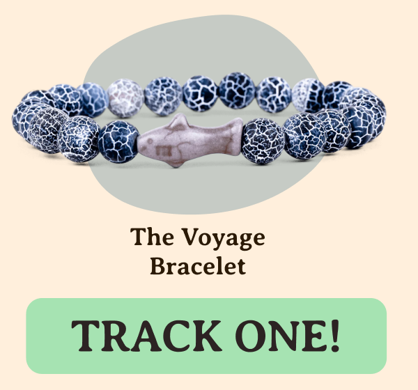 Voyage Bracelet