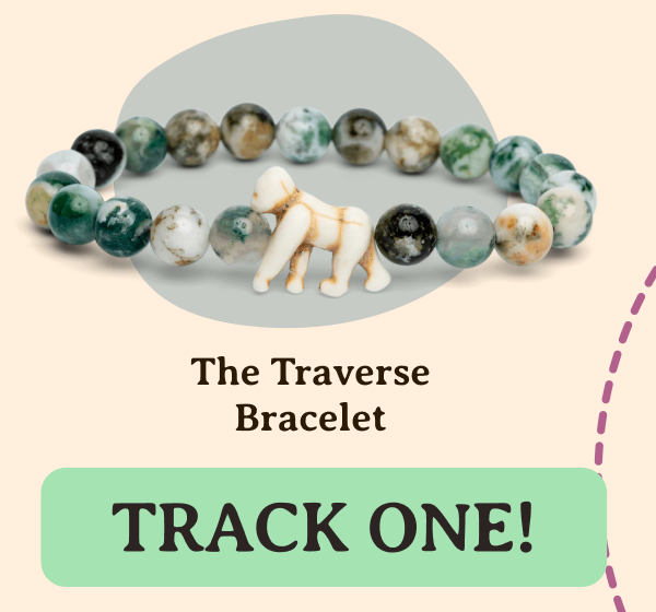 Traverse Bracelet