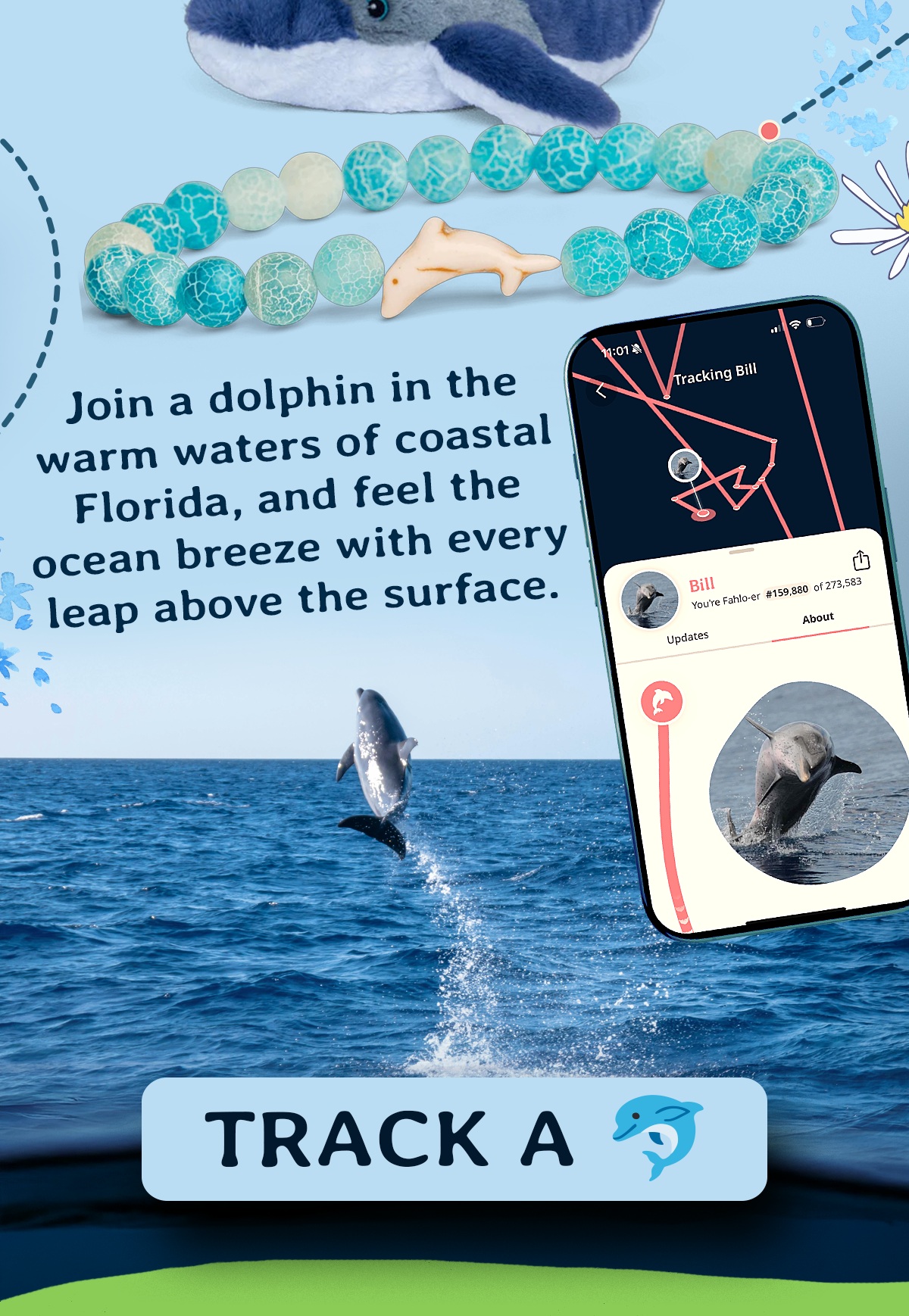 Track a dolphin!