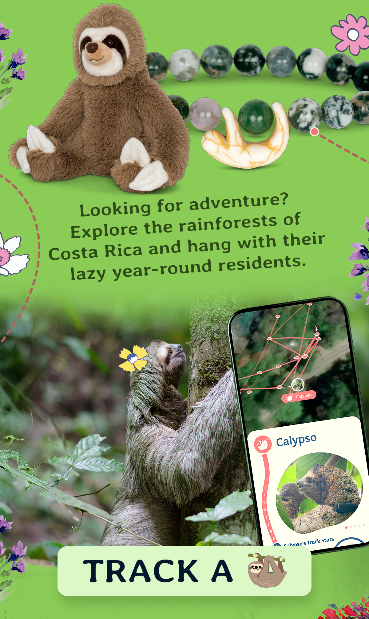 Track a sloth!