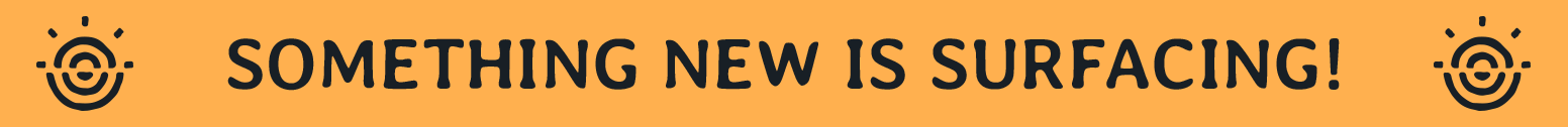 Something new is surfacing!
