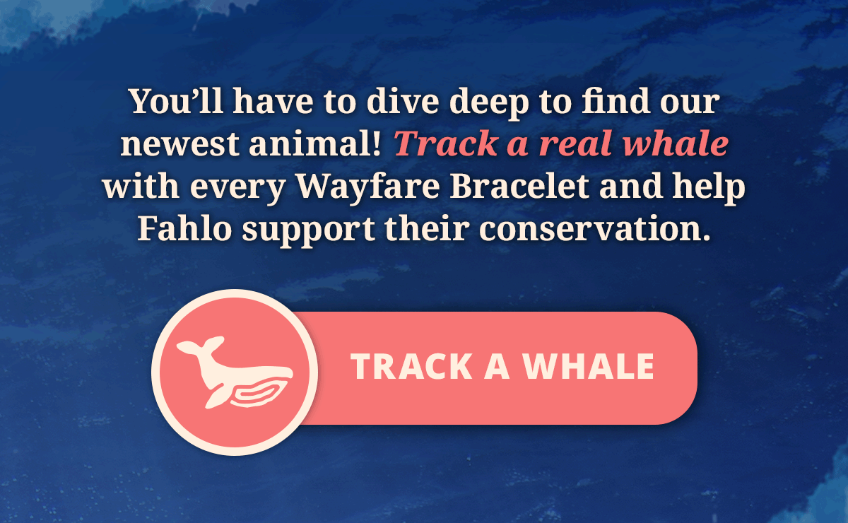 Track a whale!