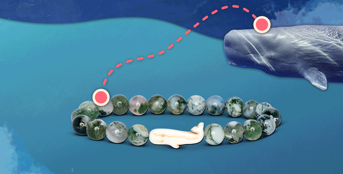 Explore the bracelet colors!