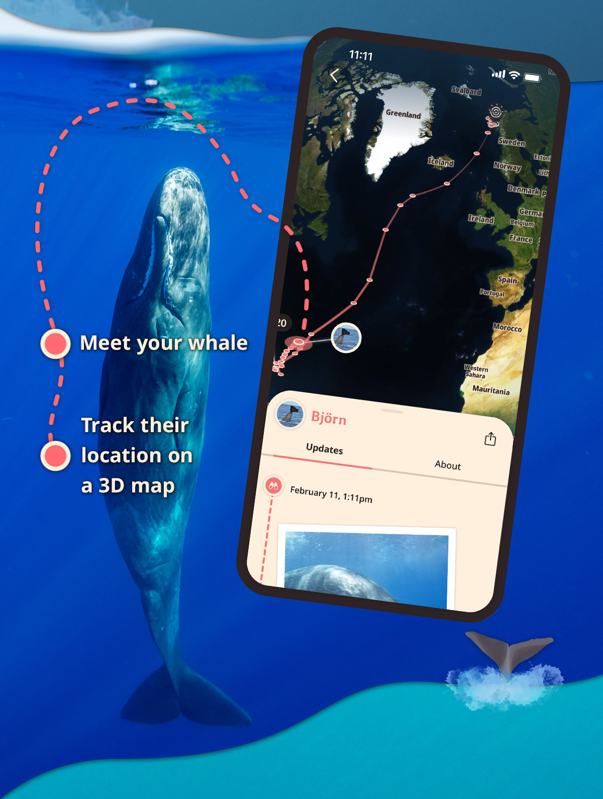 Meet your whale