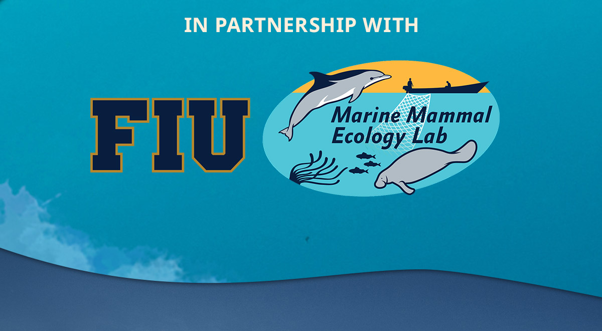 In partnership with FIU Lab