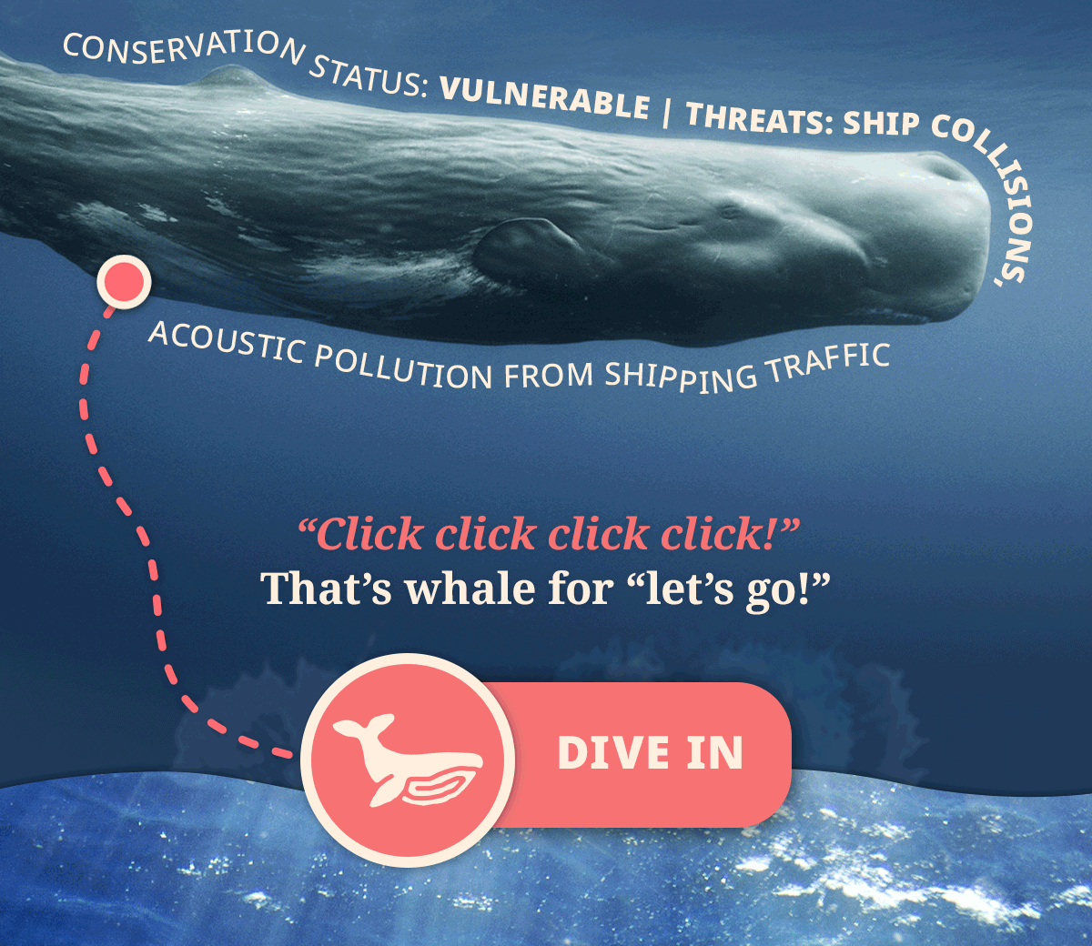 Dive in today!