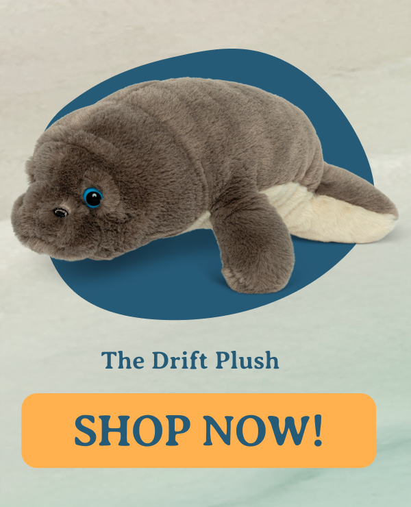 Drift Plush