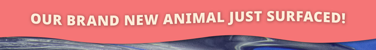 Brand new animal just surfaced!
