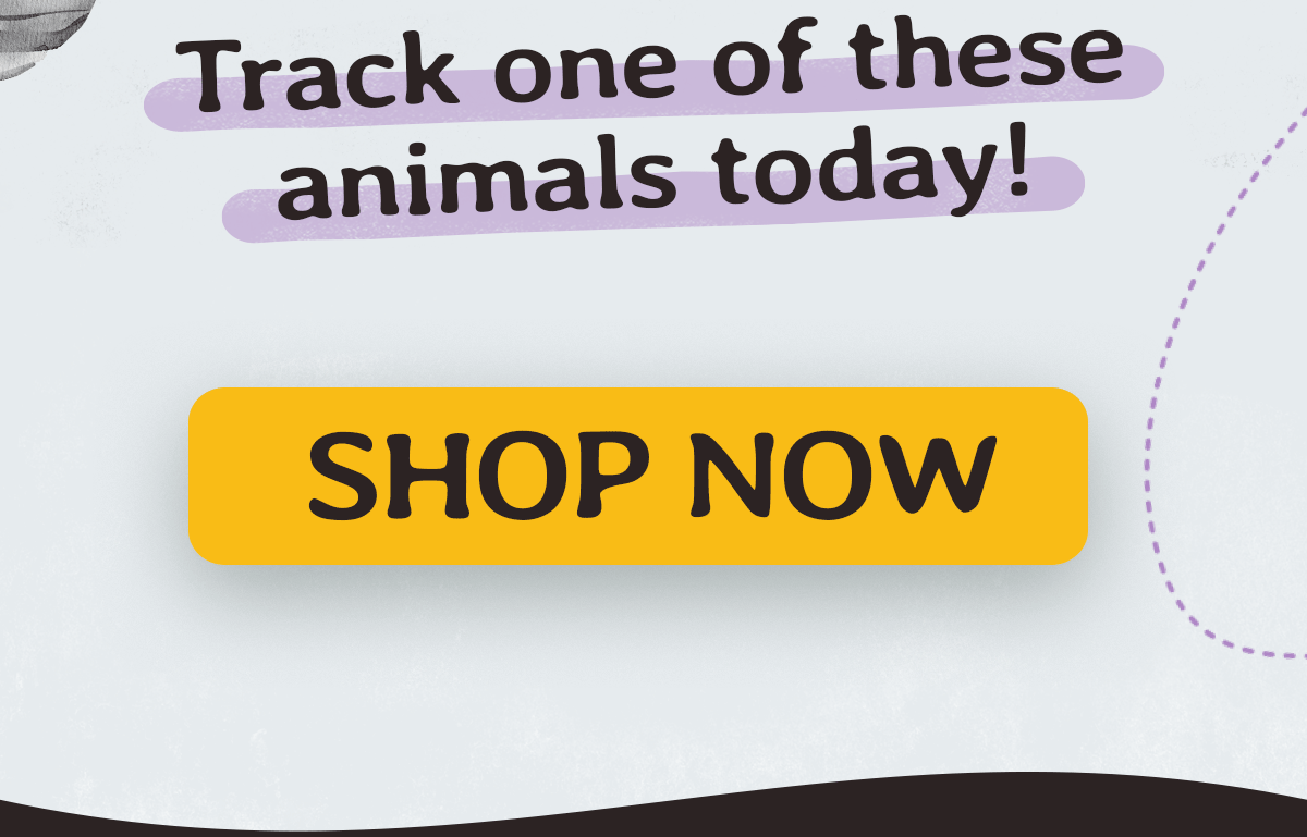 Shop Now!
