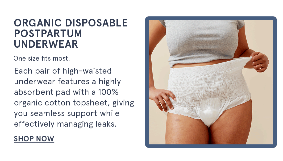 Organic Disposable Postpartum Underwear