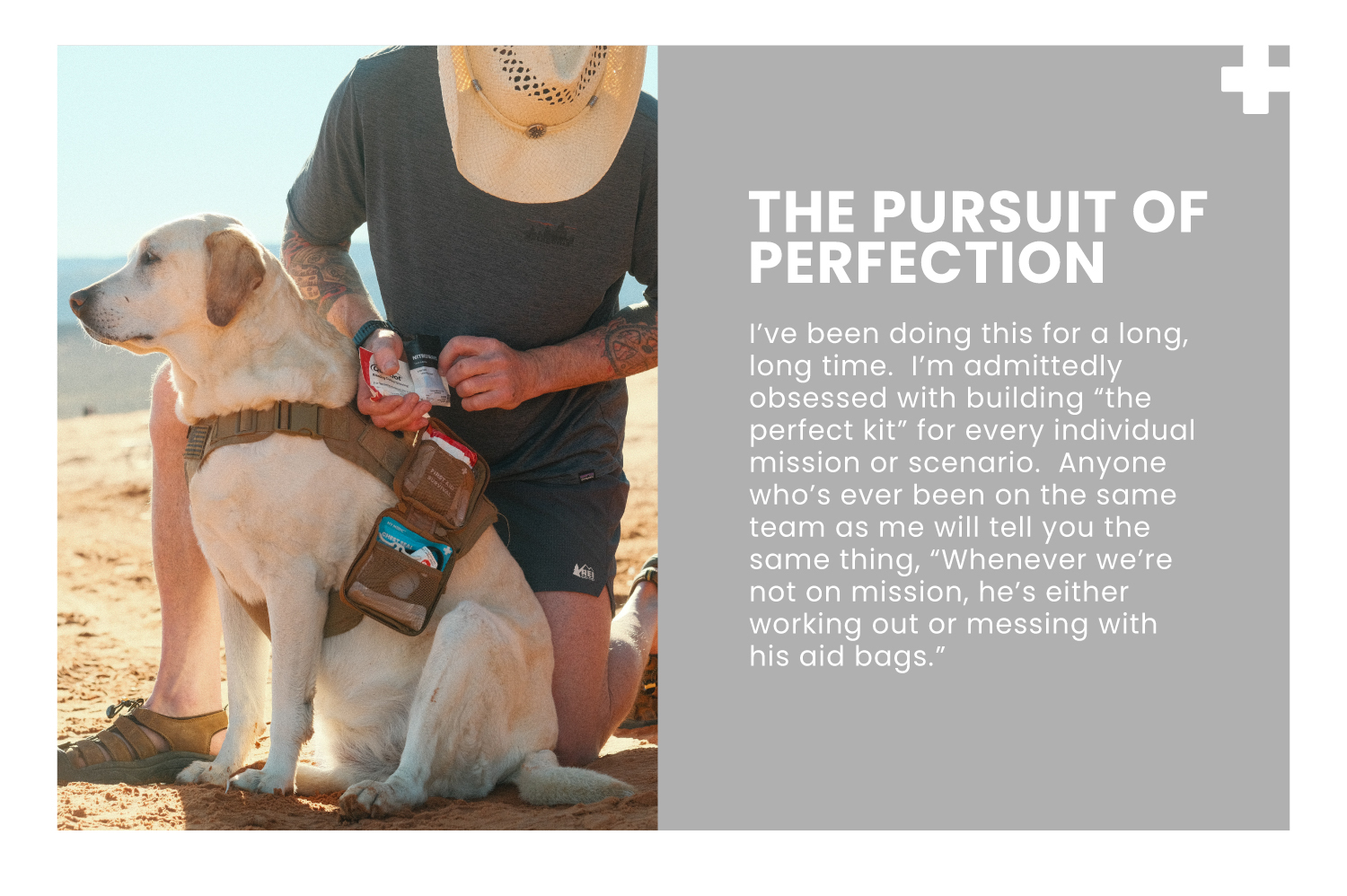 Pursuit Of Perfection 