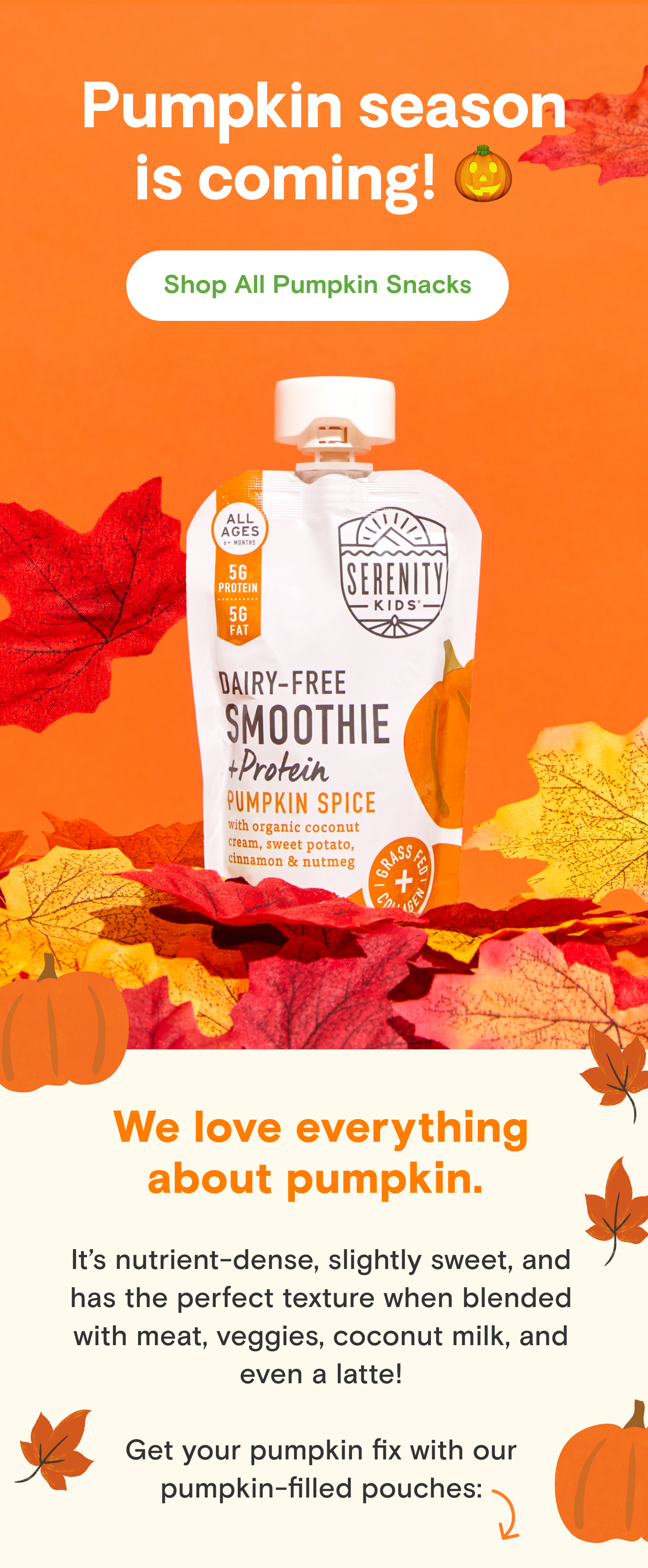 Shop All Pumpkin Snacks