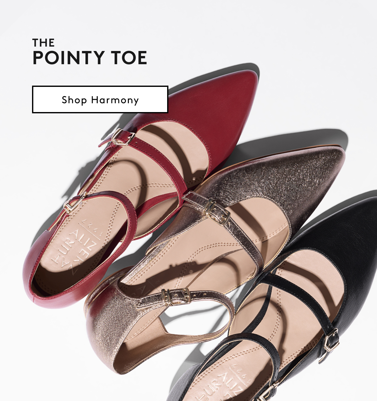 The Pointy Toe | Shop Harmony