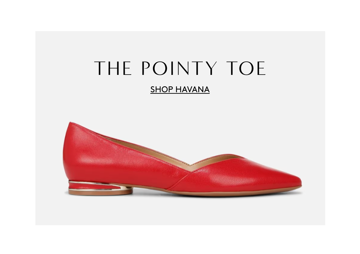 The Pointy Toe | Shop Havana