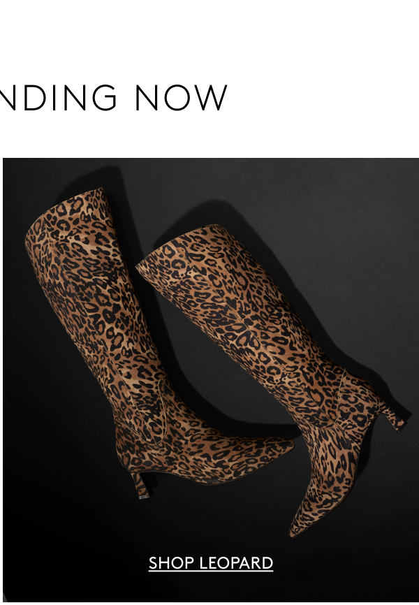 FW25 // Trending Now | Shop Leopard