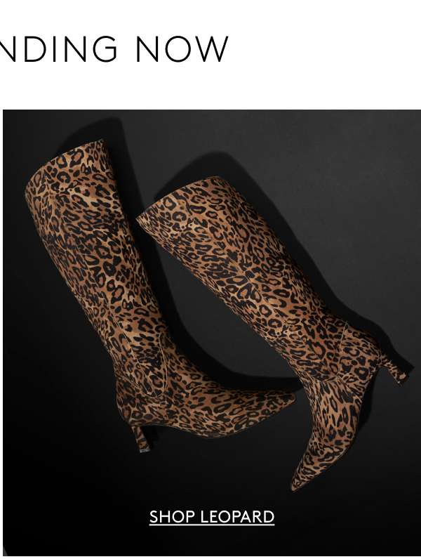 FW25 // Trending Now | Shop Leopard