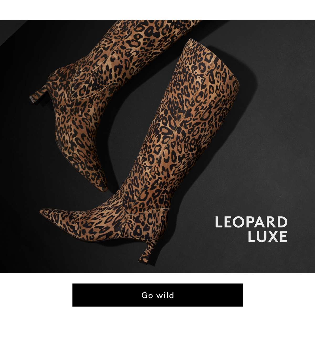 Leopard Luxe | Go Wild