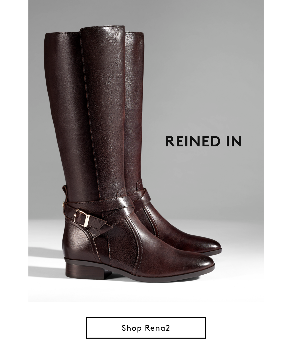 Reined In | Shop Rena2