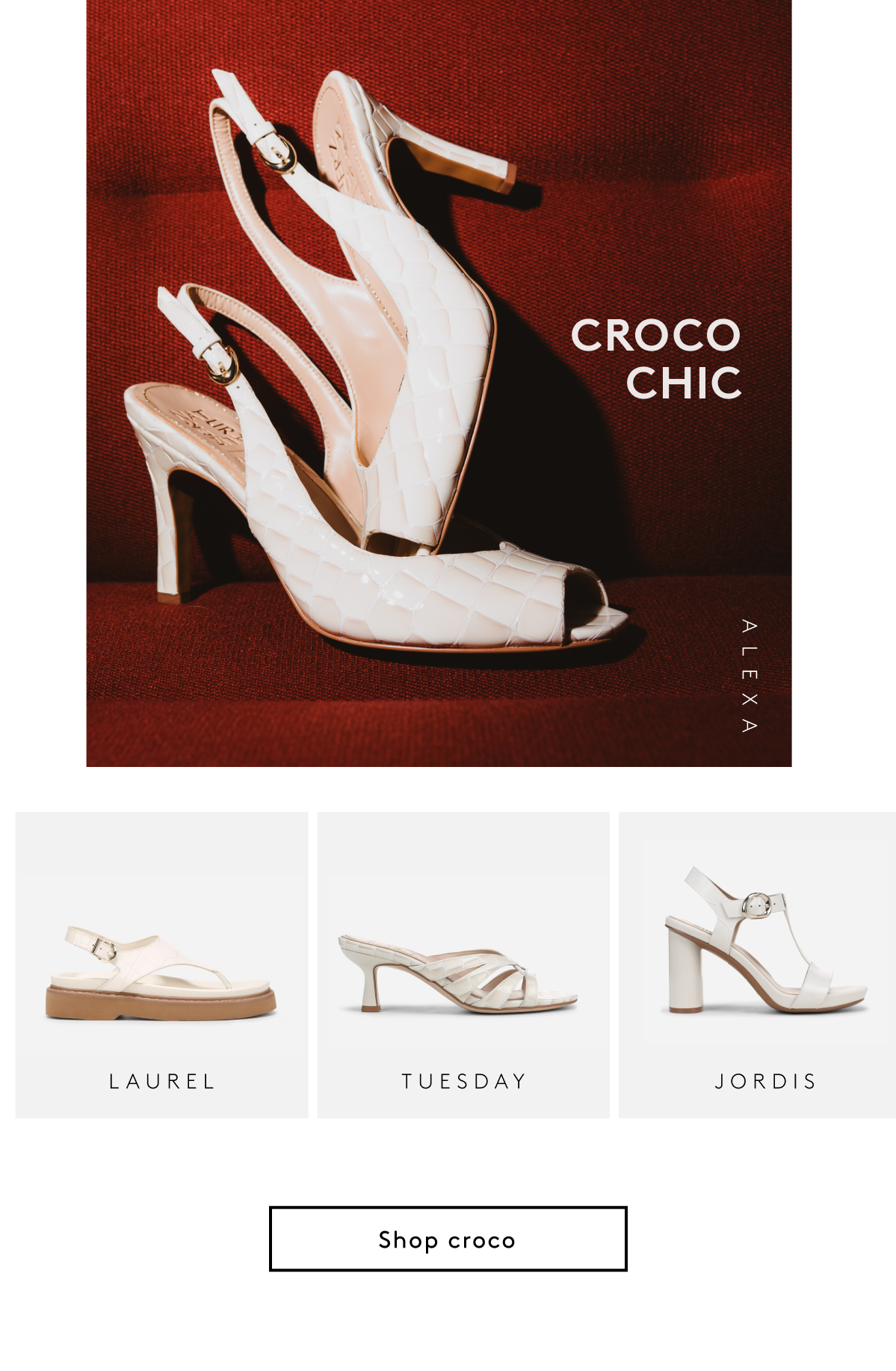 Croco Chic | Shop Croco