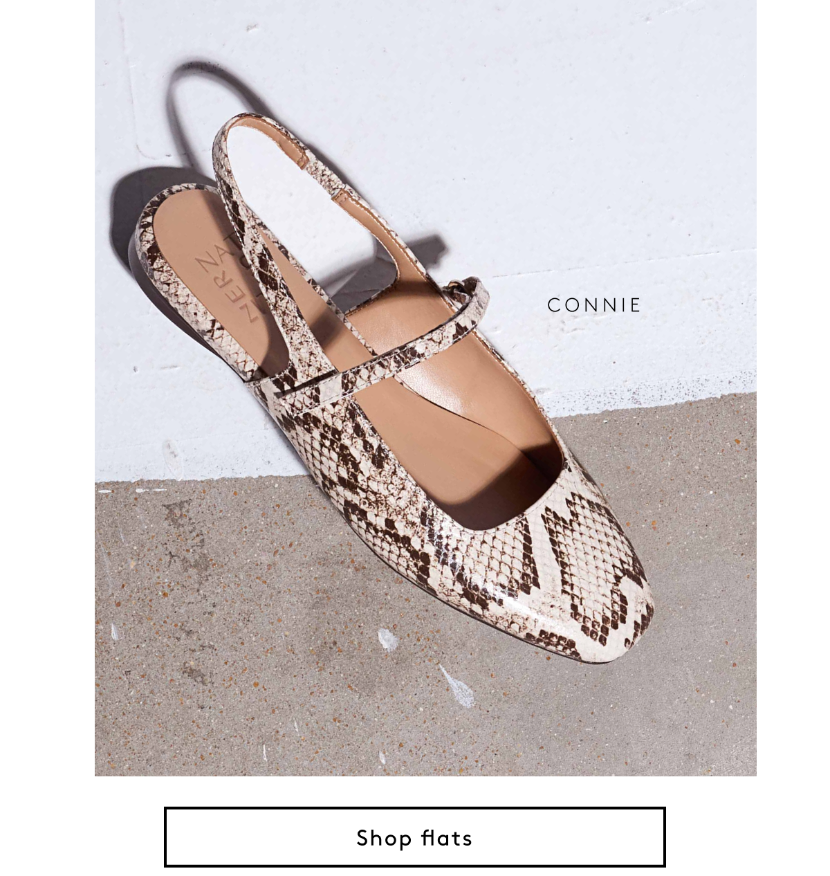 Shop Flats