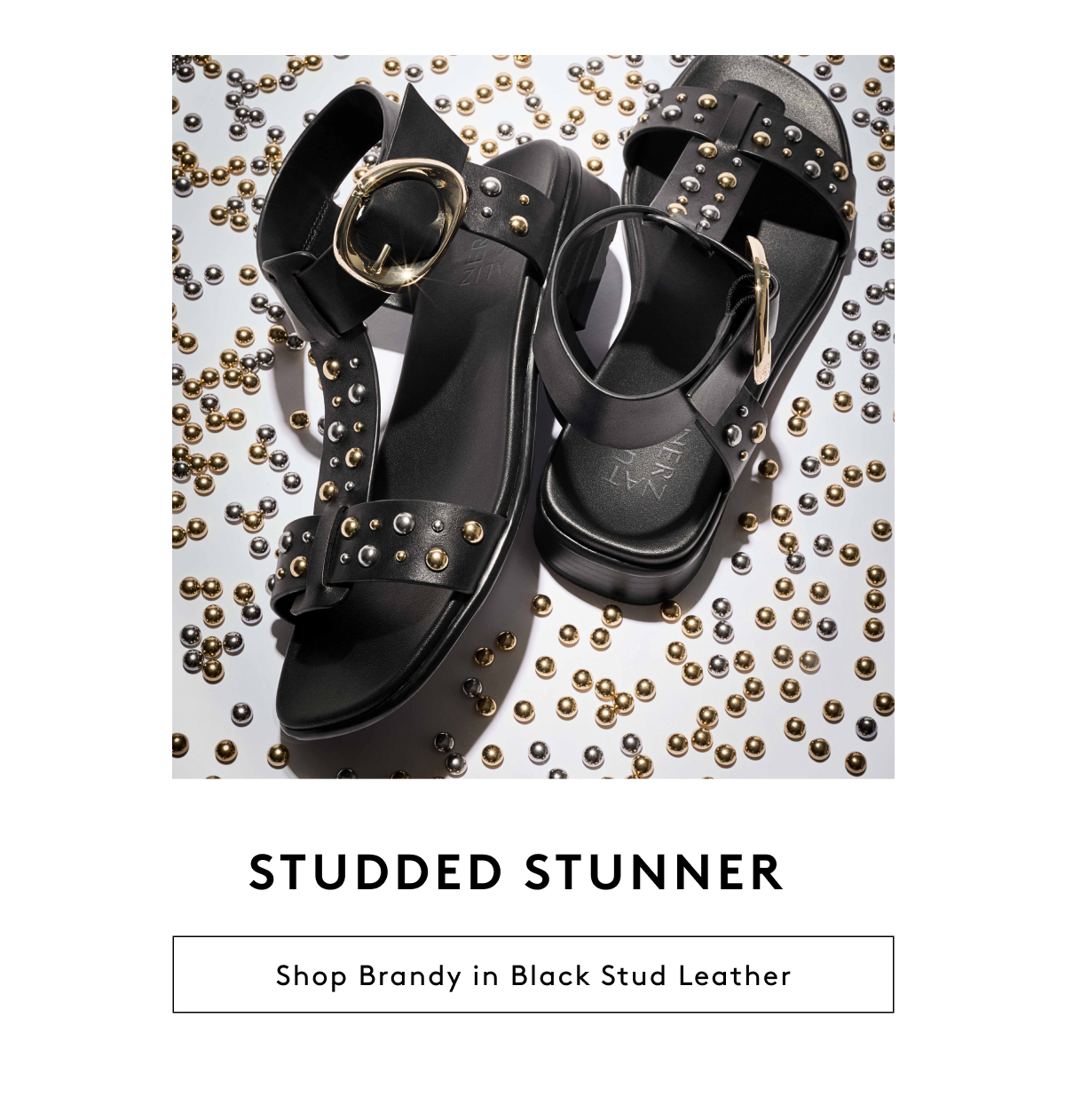 Studded Stunner - Shop Brandy In Black Stud Leather