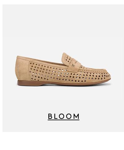 Bloom