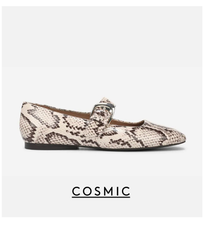 Cosmic