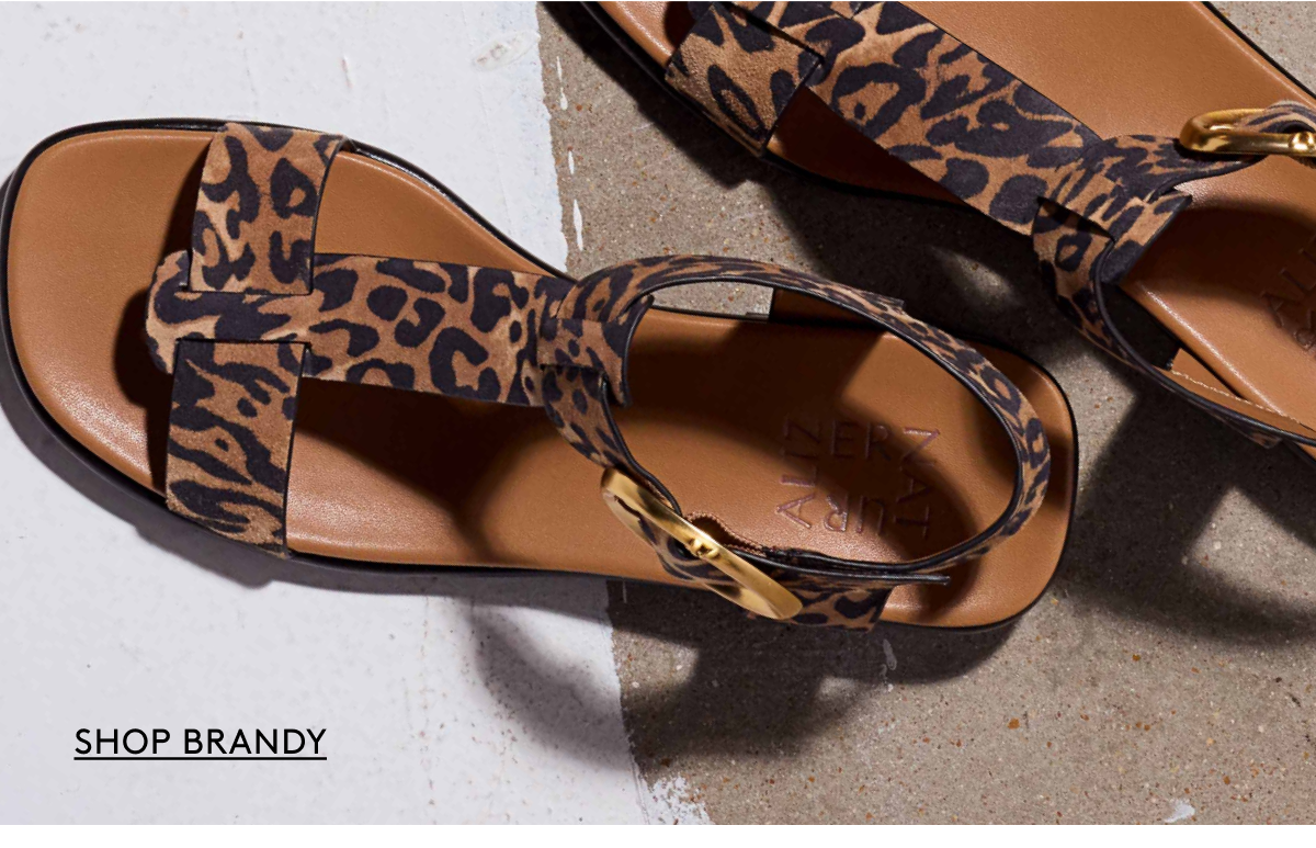 Shop Brandy