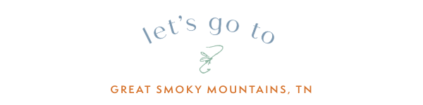 Let's go to Great Smoky Mountains, TN