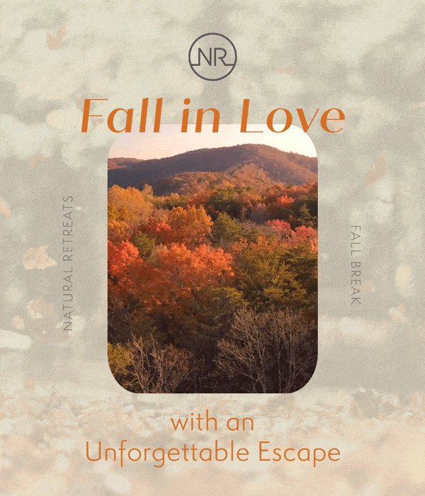 Fall in Love with NR East