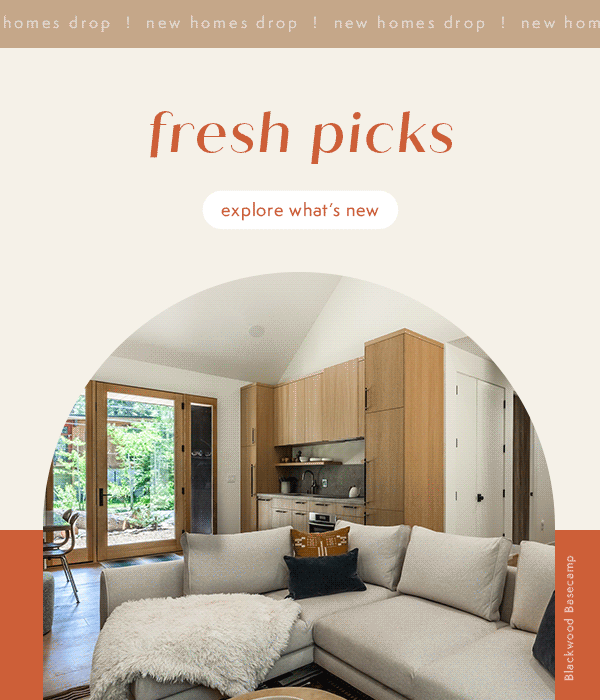 Fresh Picks. Explore What's New.