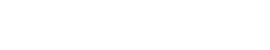 Snow flake 