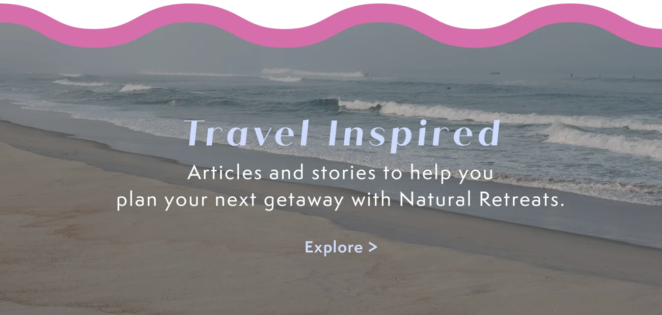 Explore the blog