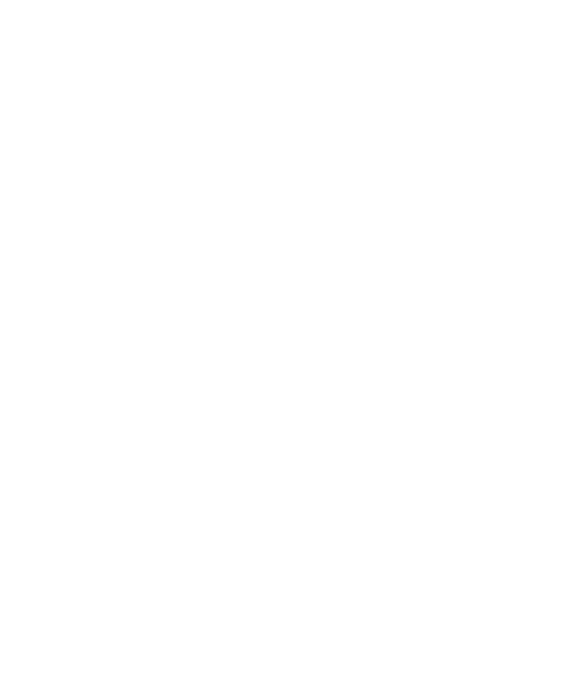 Travel Trends & Guides